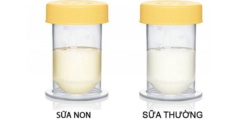 Colostrum: Colostrum