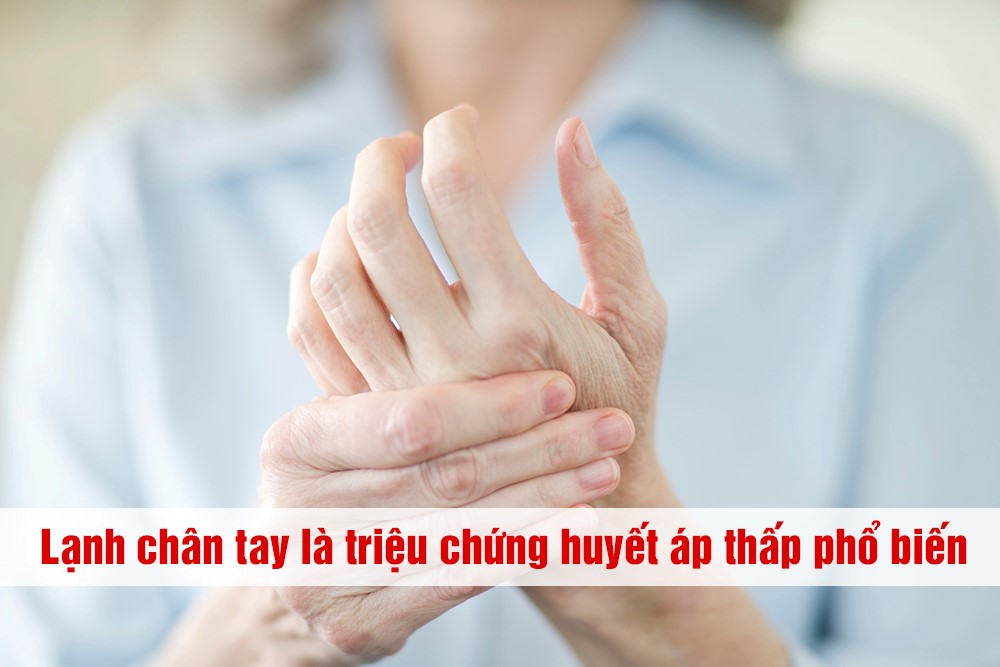 Sữa Y Tế Cho Người Bị Huyết Áp Thấp